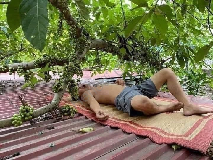 Người mới