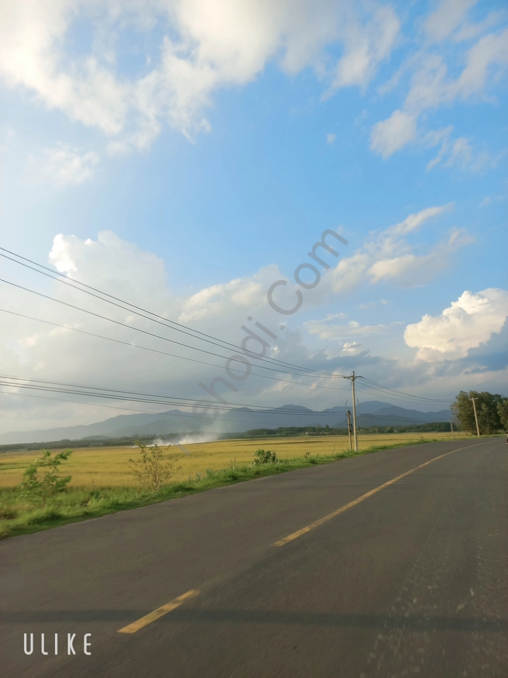 Tìm gái gọi  hoài nhơn